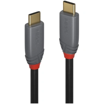 Lindy 3m USB 3.2 Type C to C Cable, 10Gbps, 100W P