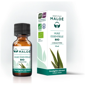 Eikalipts citrona (Eucalyptus citriodora) BIO ēter