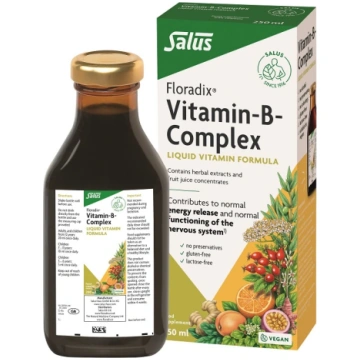 Floradix B vitamīnu komplekss, 250 ml