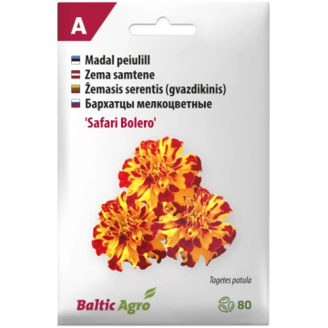 Asteru sēklas BALTIC AGRO Safari Bolero 80 sēklas