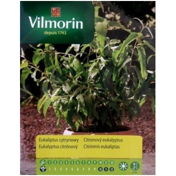 Citrona eikalipts 200 mg Vilmorin
