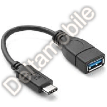 Adapteris USB 3.1 C (microUSB type C)- USB A ar OT