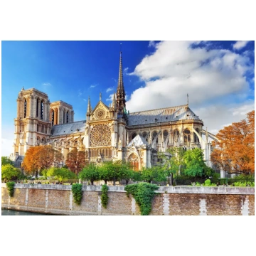 Puzzle Cathédrale Notre-Dame de Paris BlueBird