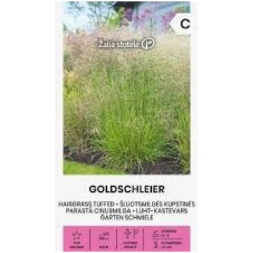 Ciņusmilga parastā Goldschleier 1g