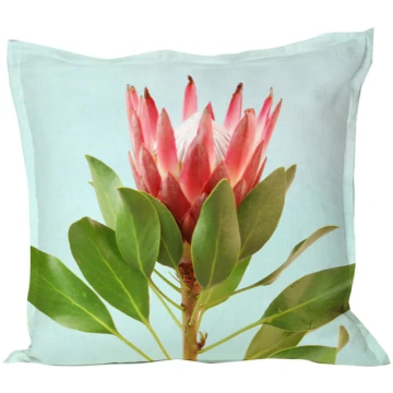 Protea on Blue Pillow Cover Cathy Joubert
