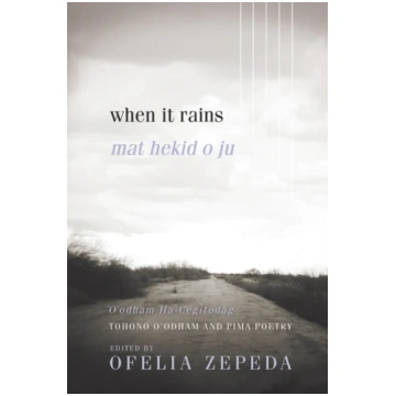 When It Rains Bookshop