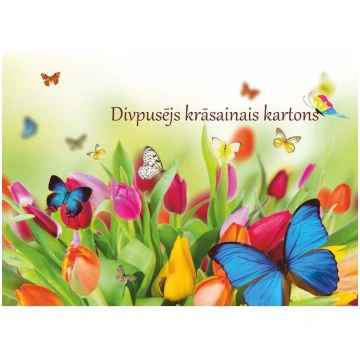Divpusējs krāsainais kartons A4 8lp