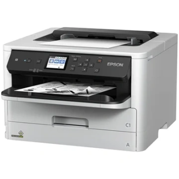 Epson Printer, 246889