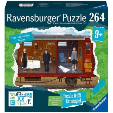Mystery Puzzle 264 The Lost Fire Brain Games LV