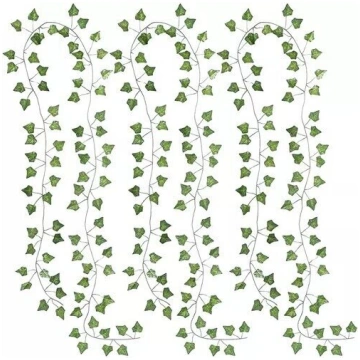 Mākslīgā efeja, 6,3 m