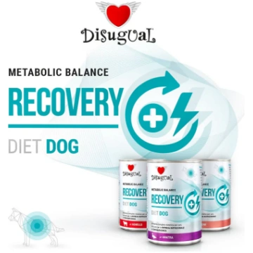 DISUGUAL Cane Diet Recovery Salmone 400 gr Scodinz