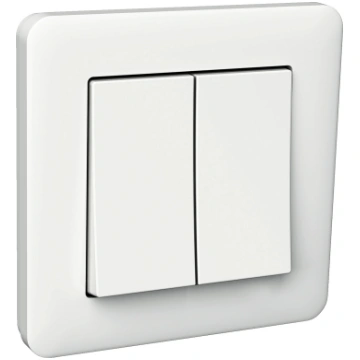 Schneider Electric pārslēdzis ar rām. 1+1, Exxact 