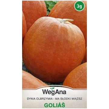 Ķirbji Golias 3 g WegAna 09/2027
