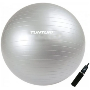 Tunturi Gymball silver