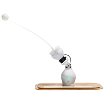 SHAPE ROBOTICS FABLE Explore robots