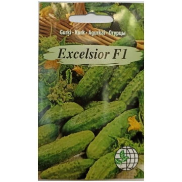 Gurķi Excelsior F1 Agrimatco