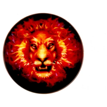 Universāls turētājs (Popsocket) iLike Universal Po