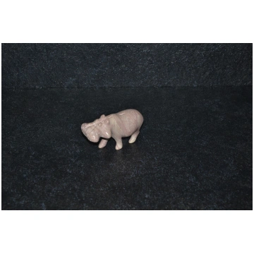 Ippopotamo I Tesori della Terra