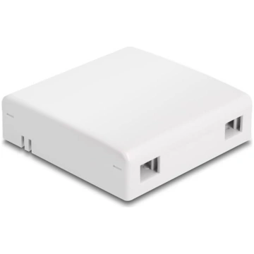 Delock Optical Fiber Connection Box for wall mount