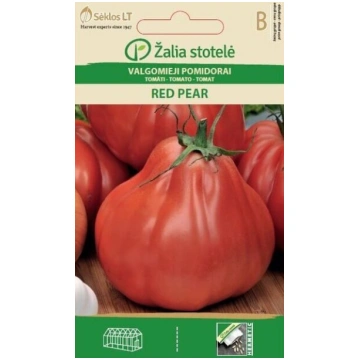 TOMĀTI RED PEAR Žalia stotelė
