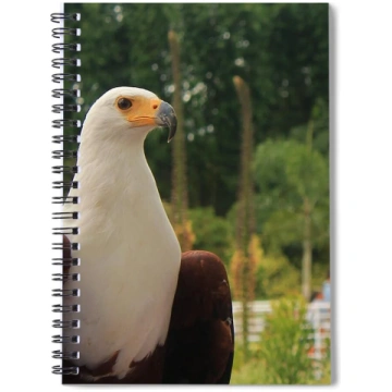 Majestic American Bald Eagle Eagle - Spiral Notebo