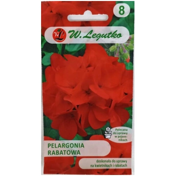 Pelargonijas dārza sarkanas W. Legutko