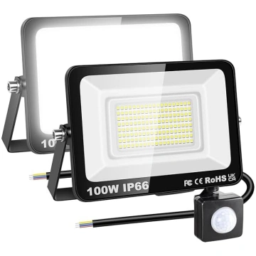 RIGIDON 2 x 100 W 10000 LM āra LED prožektors ar k