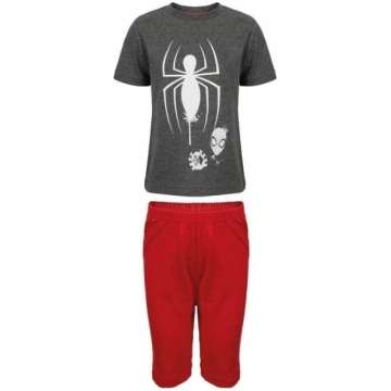 SPIDER-MAN Pidžama, pelēka/sarkana, 110-116 ERVE