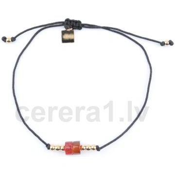 Aproce BLUEBERRY APZ216