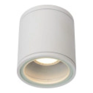 Lucide Griestu lampa lapenei. balta AVEN [Plafon s