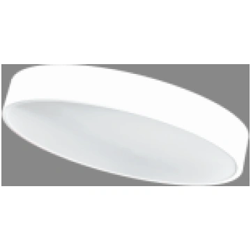 2X48W APALŠ VIRSAPMETUMA BALTS PLAFONVEIDA LED GAI