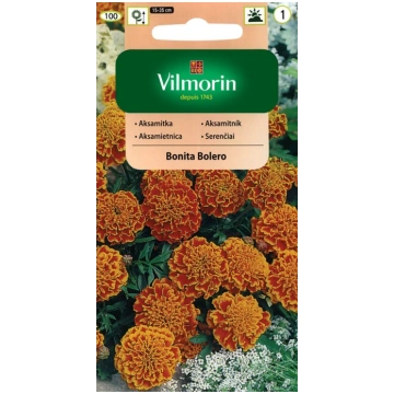 Samtenes Bonita Bolero, Vilmorin, 1 g