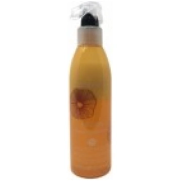 ECHOSLINE Argan Bi-phase conditioner - Aizsagājošs