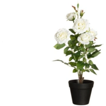 4Living Rozes puķu podā m-ziedi 49cm
