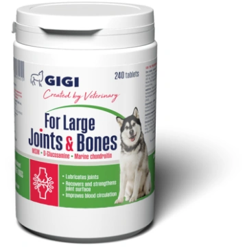 GIGI Large Joints & Bones N240