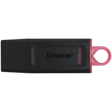 Kingston MEMORY DRIVE FLASH USB3.2/256GB DTX/256GB