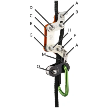 Pin (N) Singing Tree