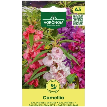Sēklas Balzamīnes Camellia 0.5g (A) 4770168925861