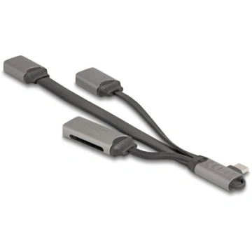 Delock 2 Port USB Hub including SD and Micro SD Ca