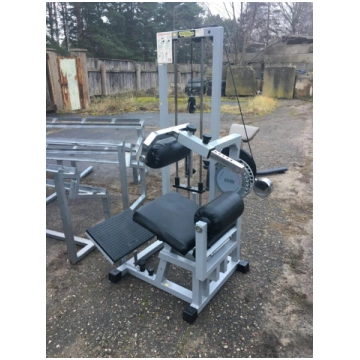 Technogym Lower Back Isotonic Line