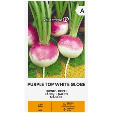 Rāceņi PURPLE TOP WHITE GLOBE 3g Darzinam.lv