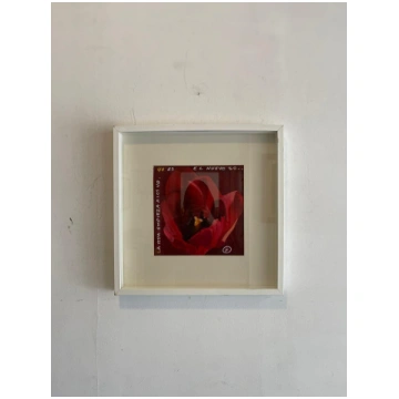 Glezna "Tulpe"