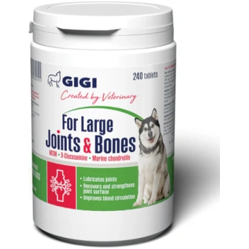 GIGI JOINTS&BONES LARGE TBL N240 SUŅIEM (ACTIVET20