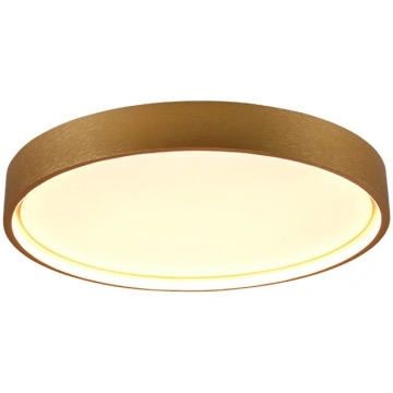 Trio Doha LED griestu lampa 45 cm matt brass 64131