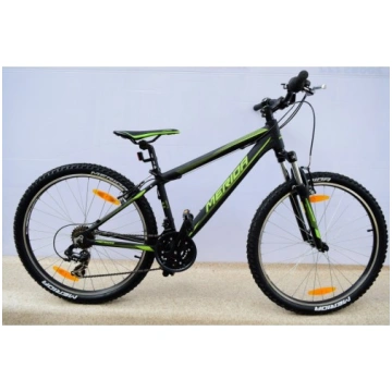 Merida matts6. 5