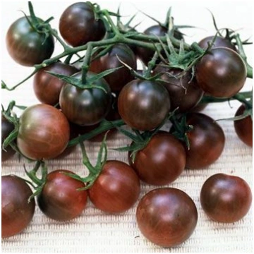 Tomāti Black Cherry 0.5g