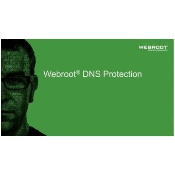 Webroot DNS Protection with GSM Console, 1 year(s)