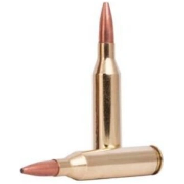 FEDERAL 243 Win. 95gr/6.15g Fusion Soft Point