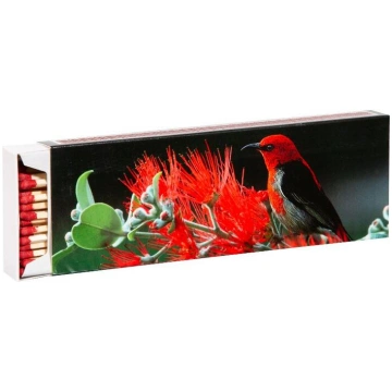 Flamax Sērkociņi 20cm 55gab (1318636)