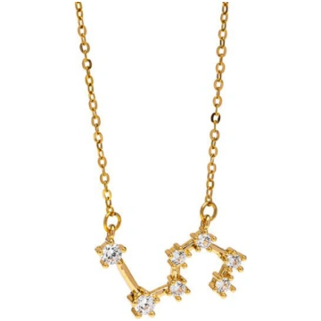 Vestopazzo Collana Leone